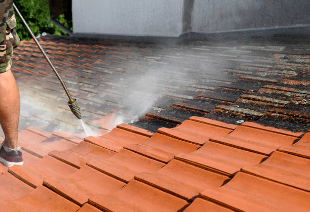 Best Power Washing Near Me  in West Hurley, NY