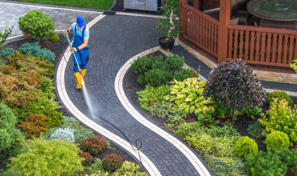 Best Local Pressure Washing Services  in West Hurley, NY